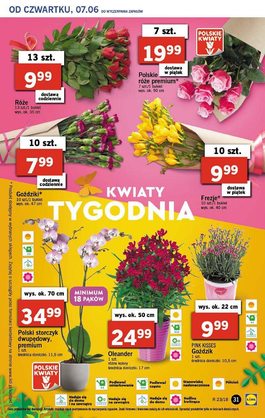 Gazetka promocyjna Lidl do 09/06/2018 str.31