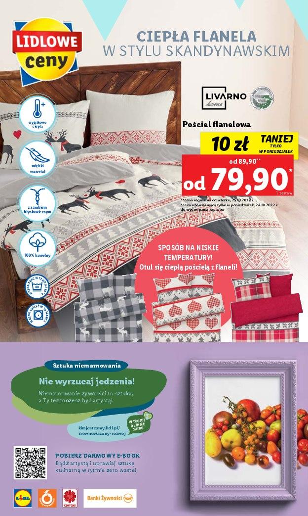 Gazetka promocyjna Lidl do 26/10/2022 str.64