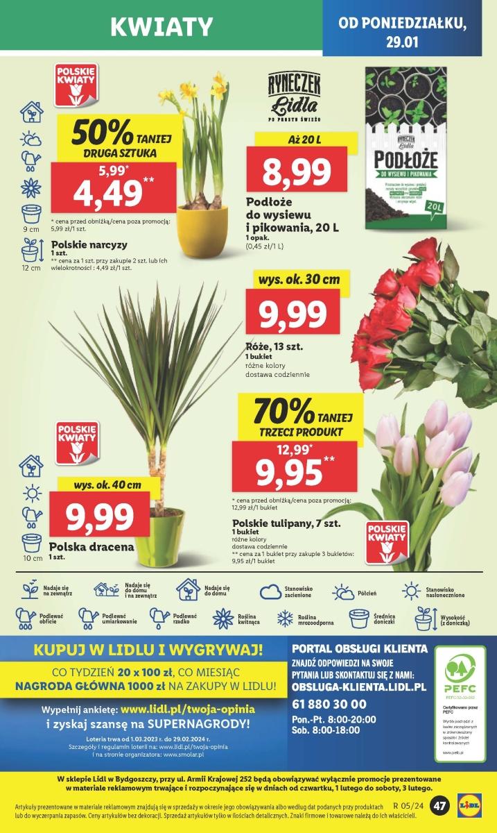 Gazetka promocyjna Lidl do 31/01/2024 str.61