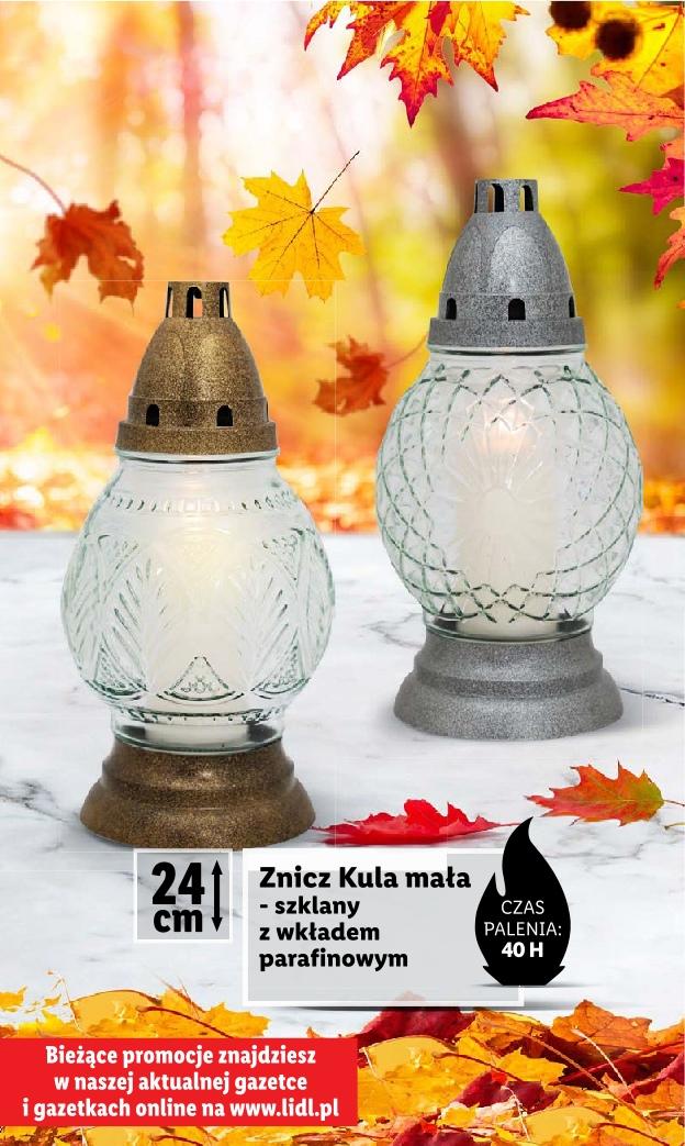 Gazetka promocyjna Lidl do 31/10/2023 str.6