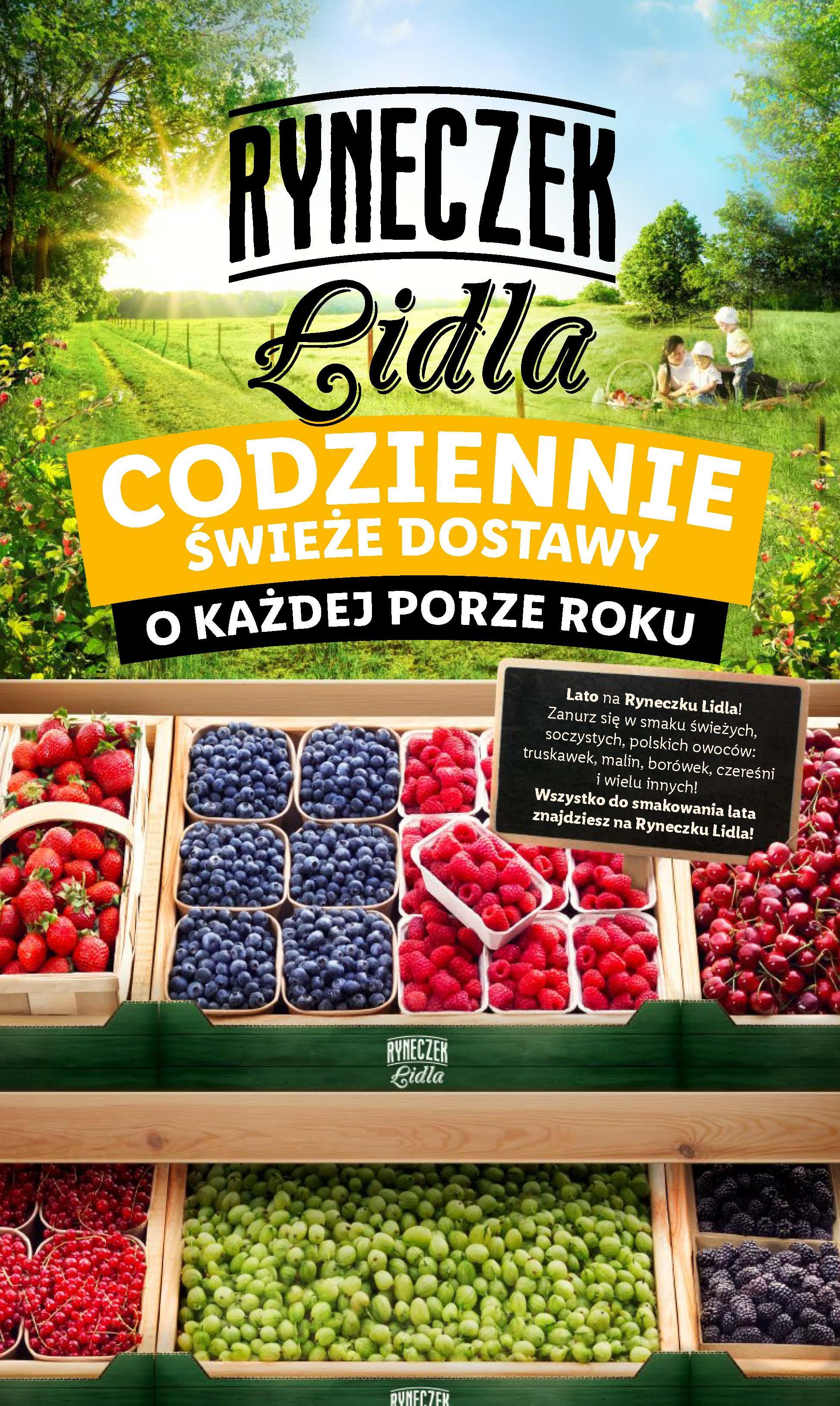 Gazetka promocyjna Lidl do 03/07/2024 str.14