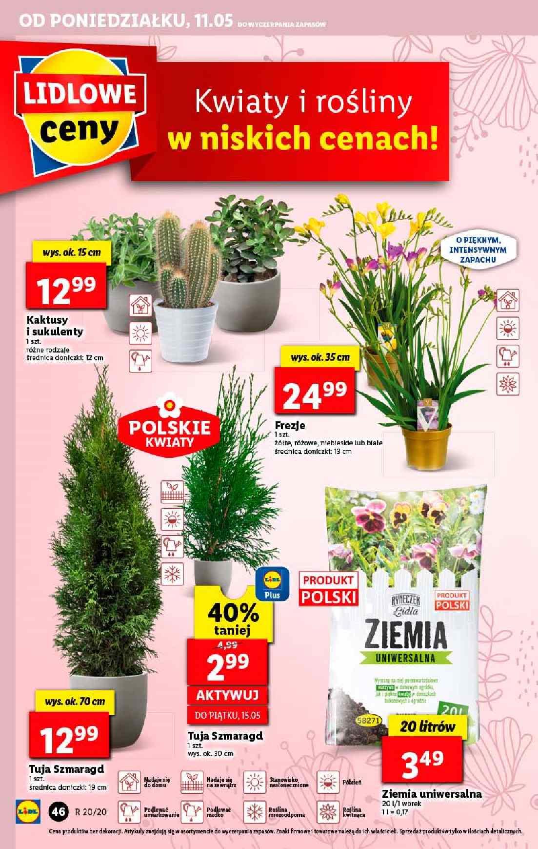 Gazetka promocyjna Lidl do 13/05/2020 str.46