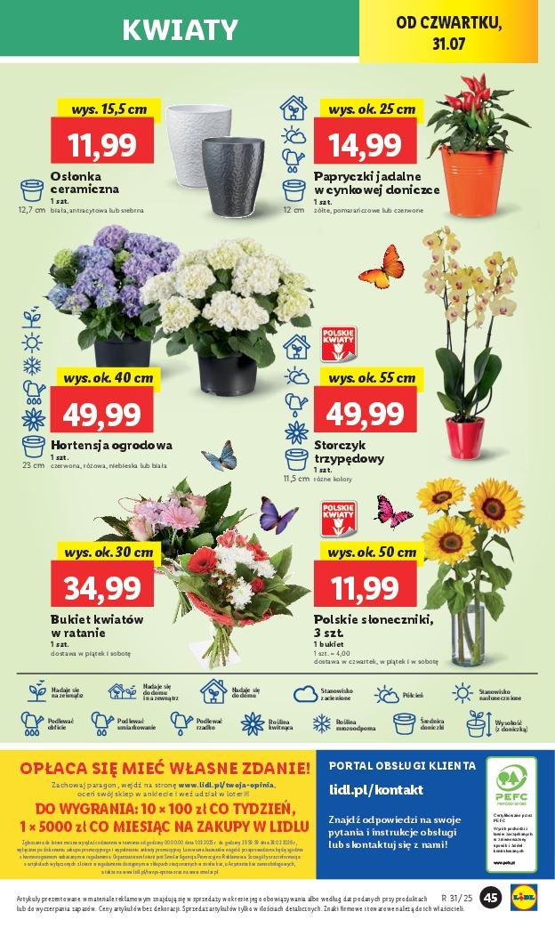 Gazetka promocyjna Lidl do 02/08/2025 str.53