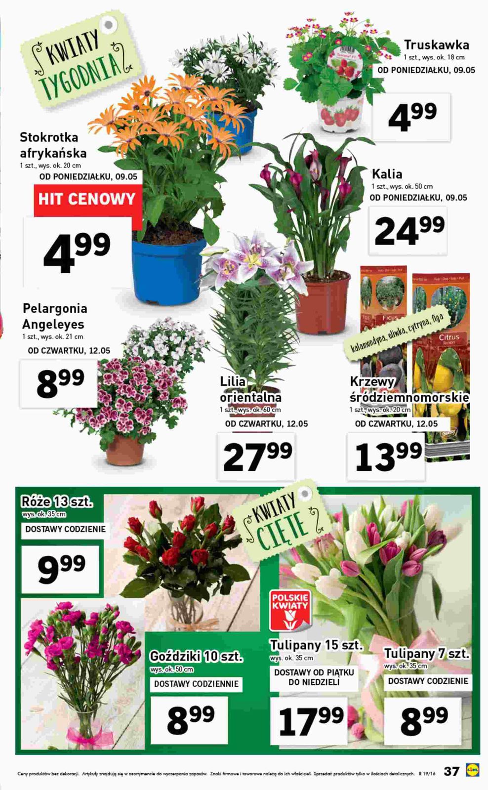 Gazetka promocyjna Lidl do 15/05/2016 str.37