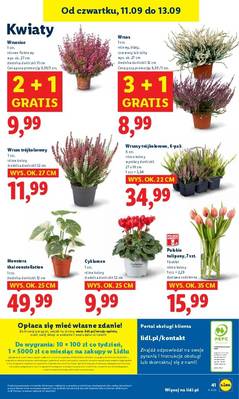 Lidl od czwartku