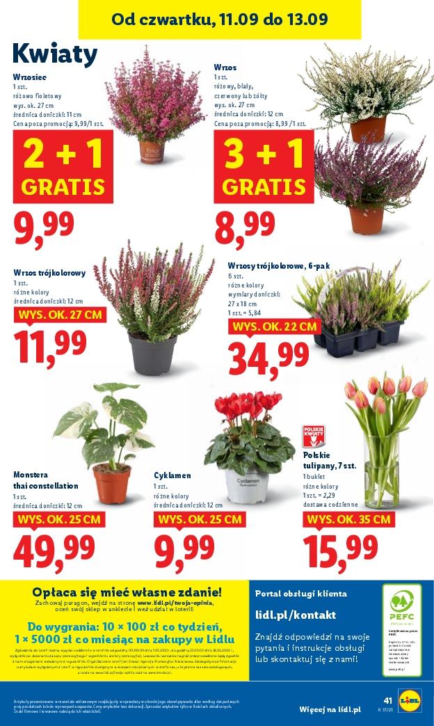 Gazetka promocyjna Lidl do 13/09/2025 str.47
