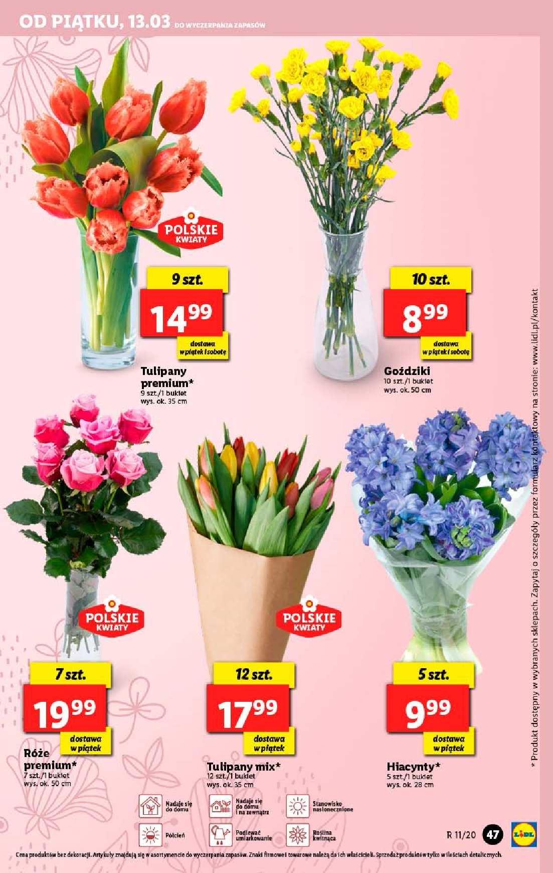 Gazetka promocyjna Lidl do 14/03/2020 str.47