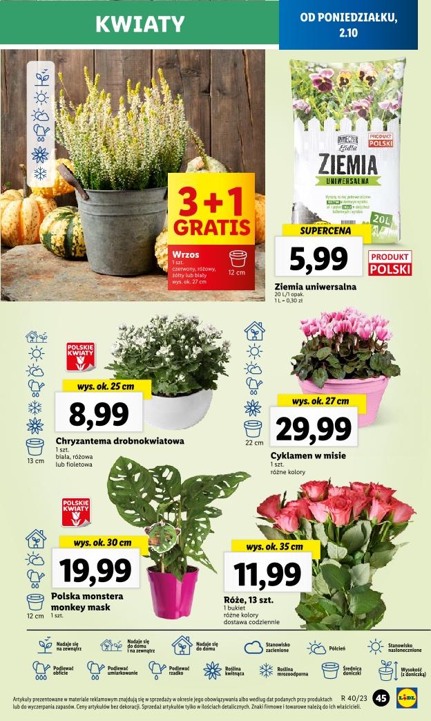 Gazetka promocyjna Lidl do 04/10/2023 str.53