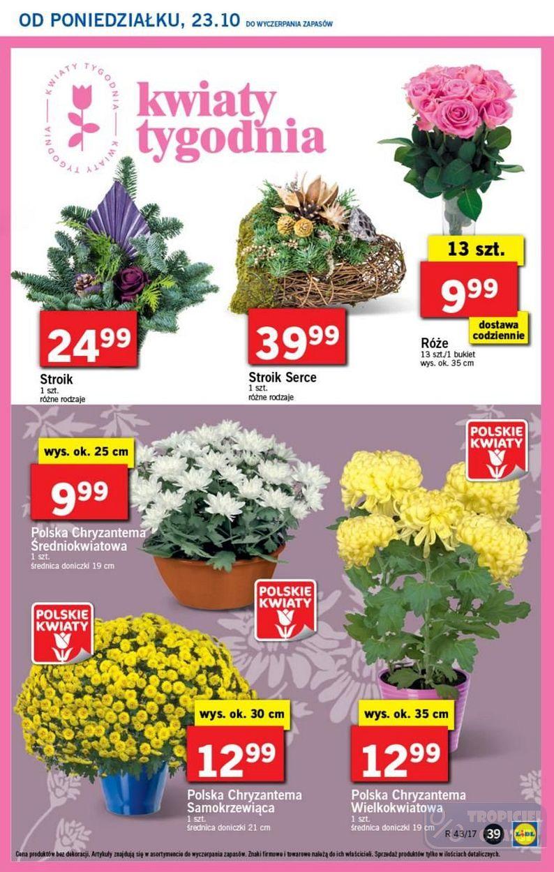 Gazetka promocyjna Lidl do 26/10/2017 str.39