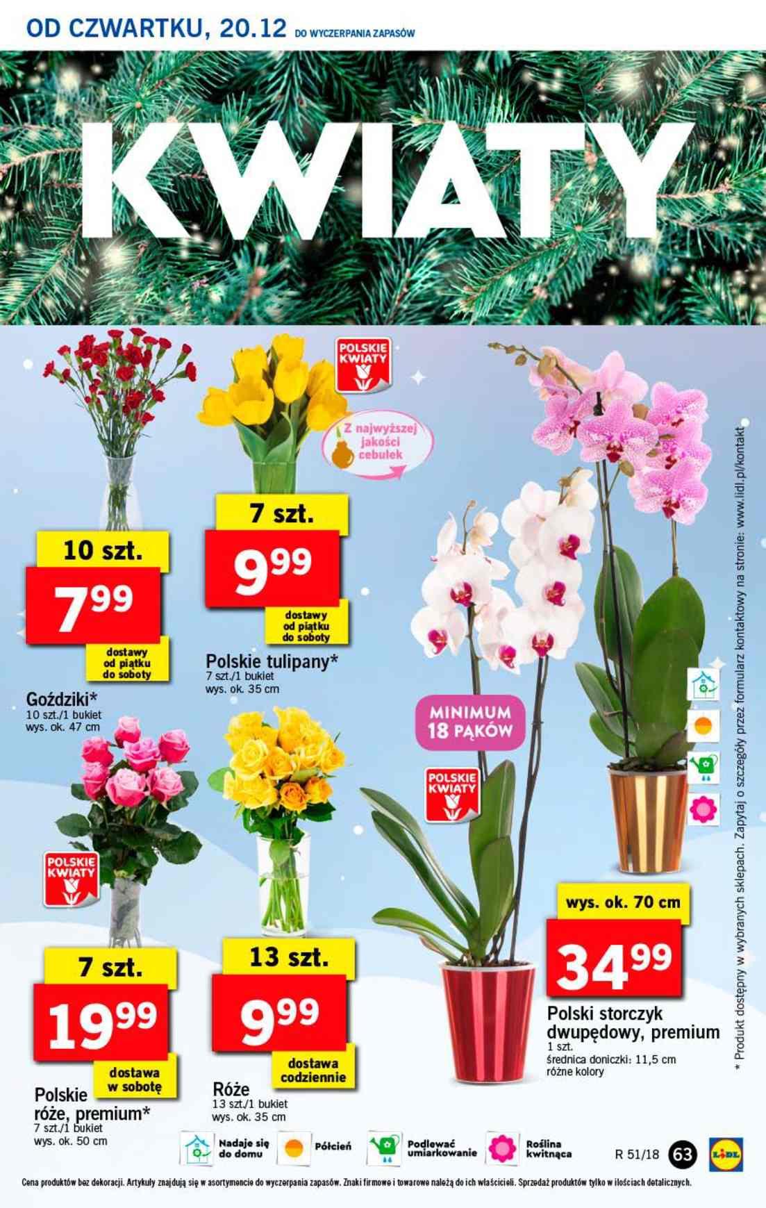 Gazetka promocyjna Lidl do 23/12/2018 str.63