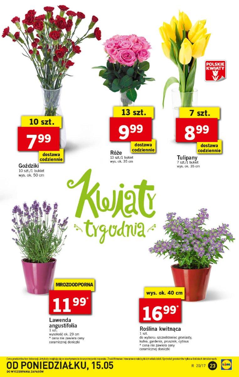 Gazetka promocyjna Lidl do 21/05/2017 str.23