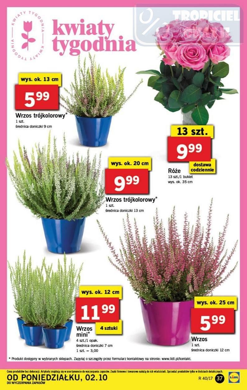 Gazetka promocyjna Lidl do 04/10/2017 str.37