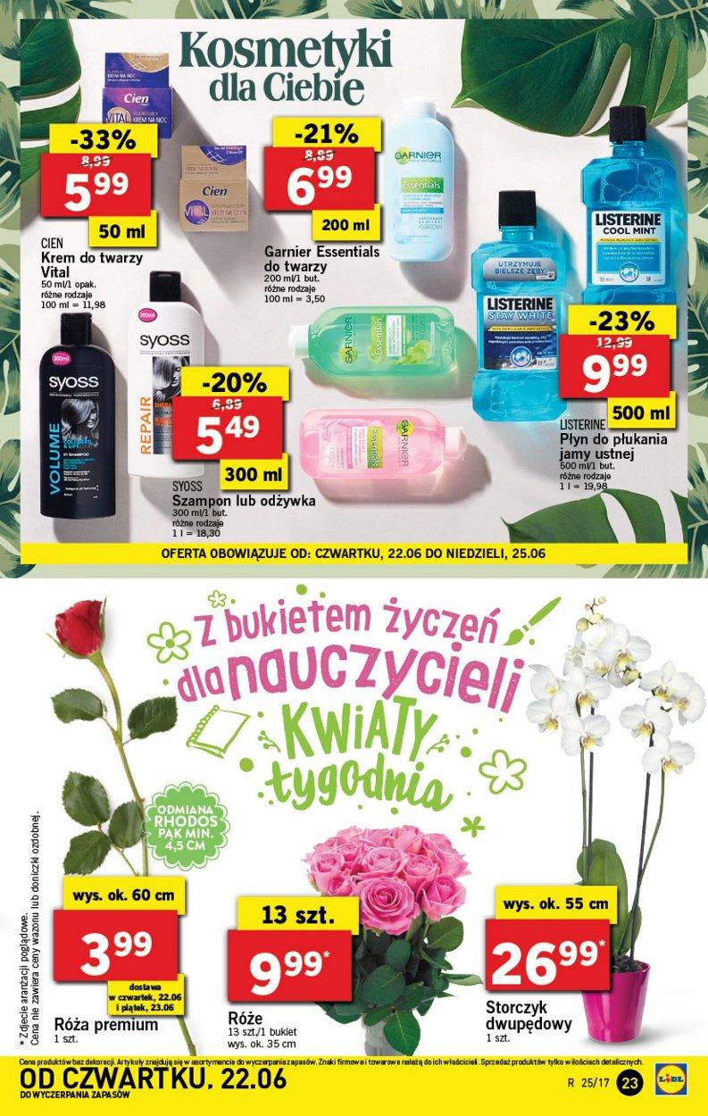 Gazetka promocyjna Lidl do 25/06/2017 str.23