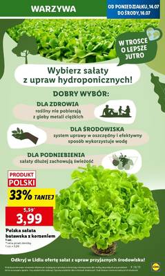 Lidl od poniedziałku