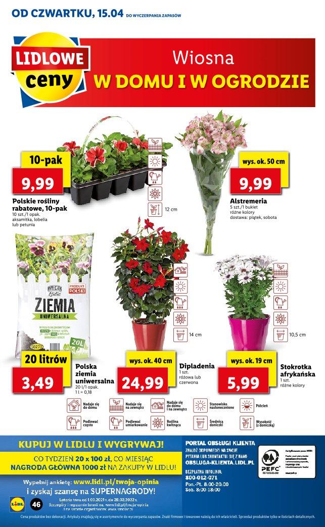 Gazetka promocyjna Lidl do 17/04/2021 str.46