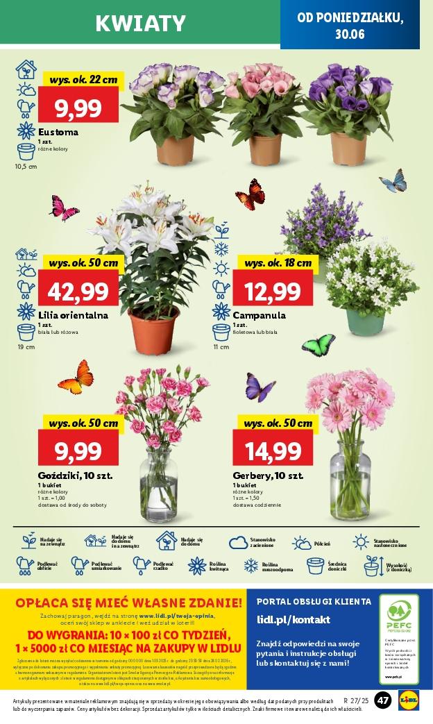 Gazetka promocyjna Lidl do 02/07/2025 str.55