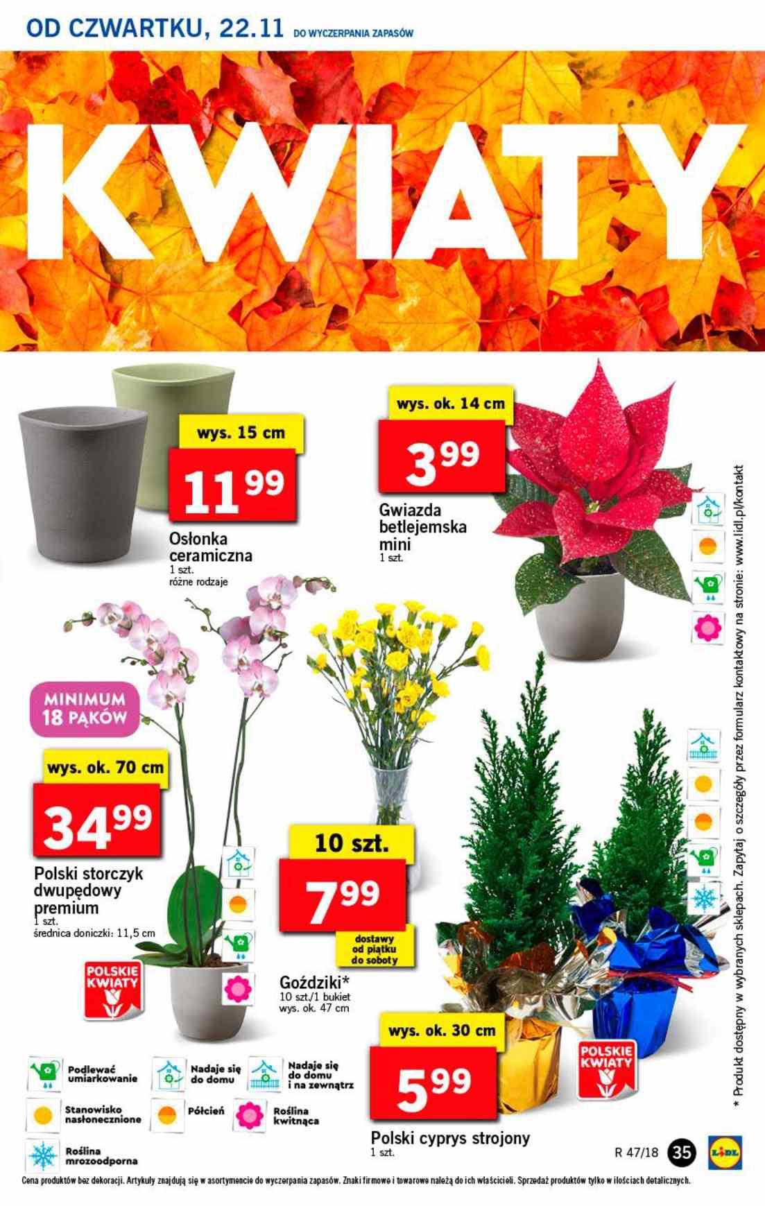 Gazetka promocyjna Lidl do 25/11/2018 str.35