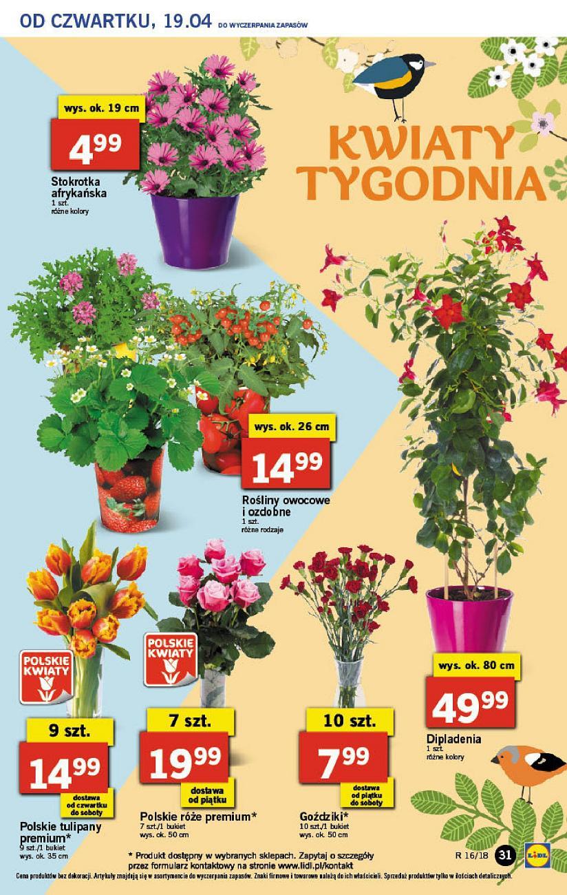 Gazetka promocyjna Lidl do 21/04/2018 str.31