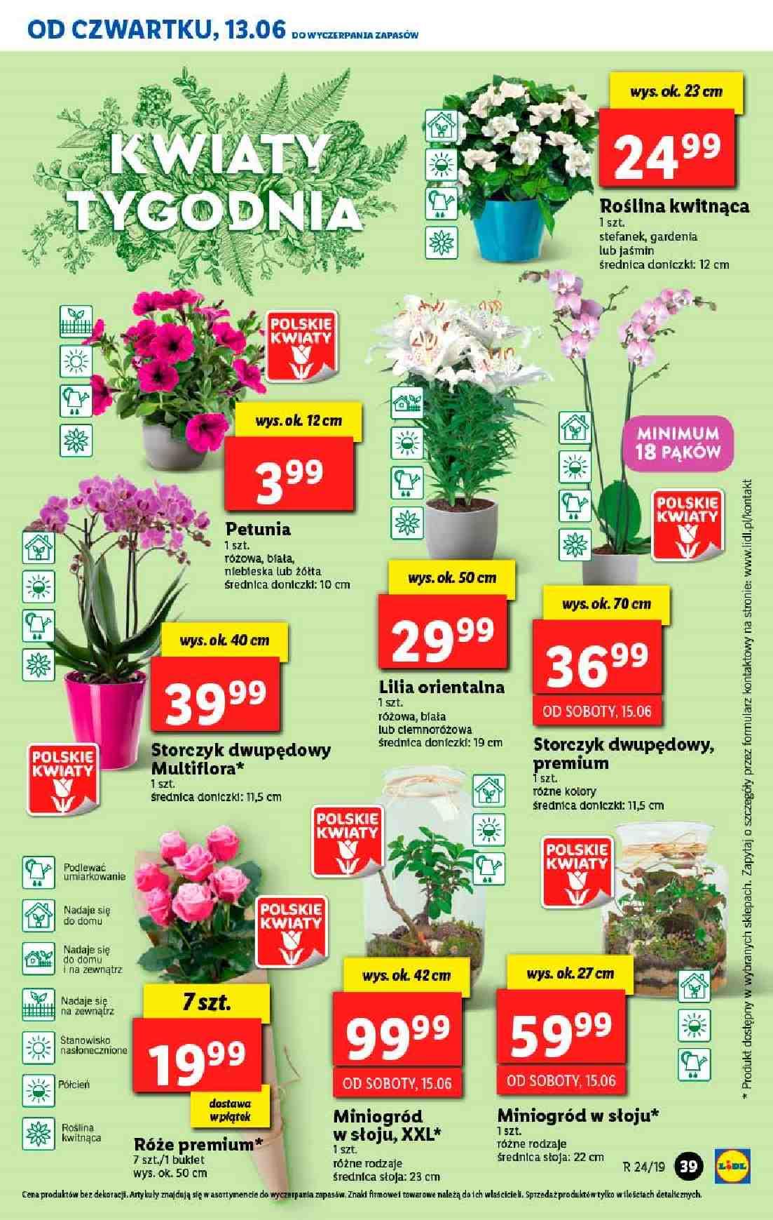 Gazetka promocyjna Lidl do 16/06/2019 str.39