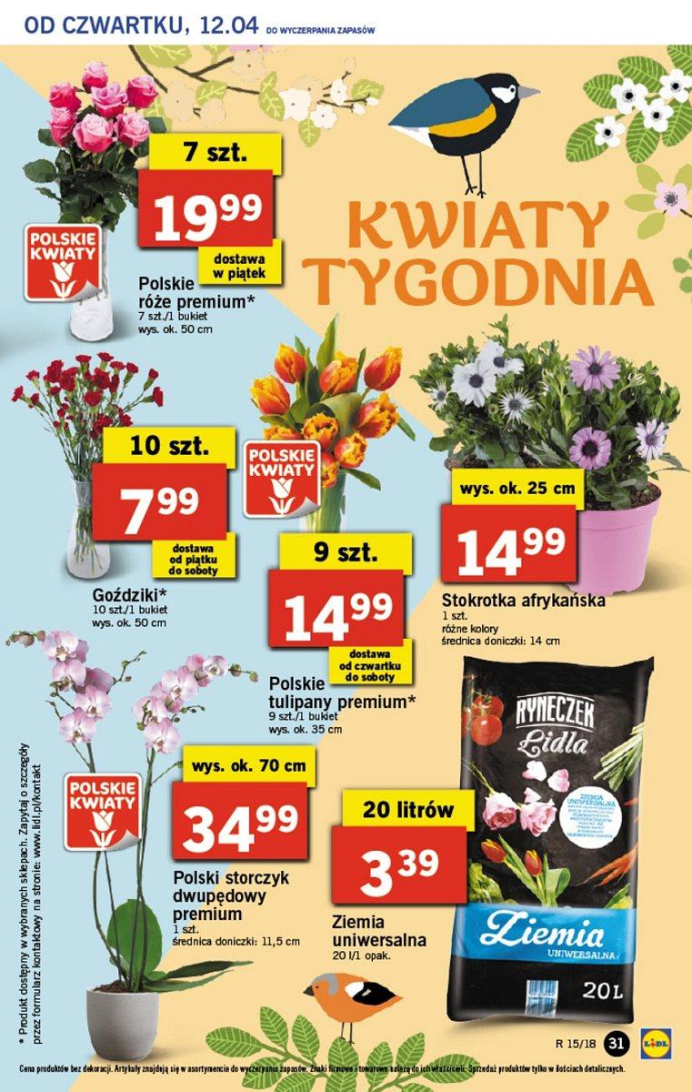 Gazetka promocyjna Lidl do 14/04/2018 str.31