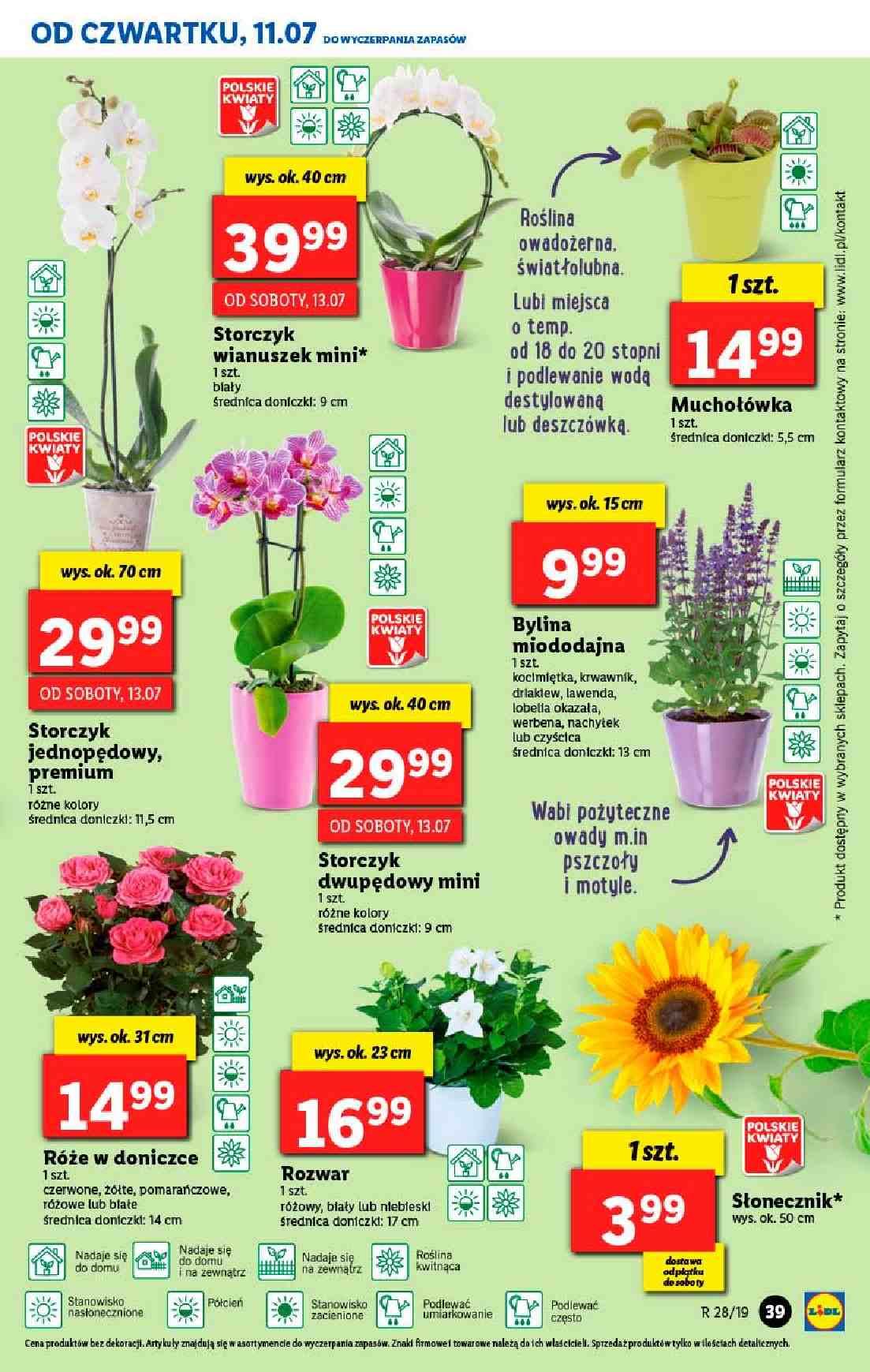 Gazetka promocyjna Lidl do 13/07/2019 str.39