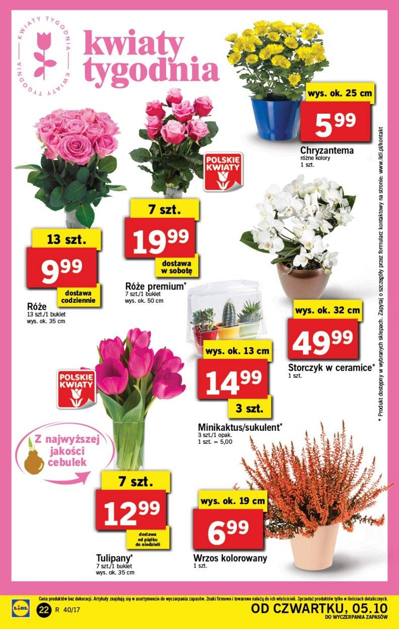 Gazetka promocyjna Lidl do 08/10/2017 str.22