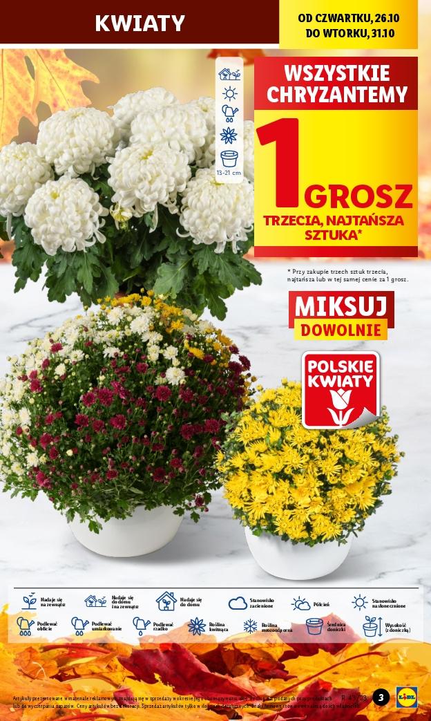 Gazetka promocyjna Lidl do 28/10/2023 str.3