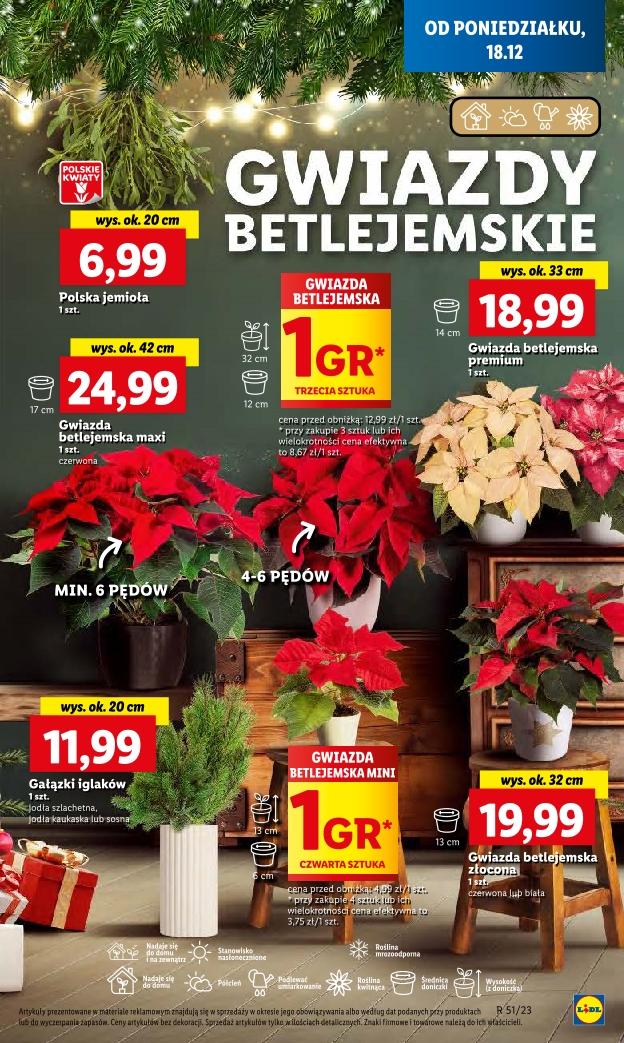 Gazetka promocyjna Lidl do 20/12/2023 str.45