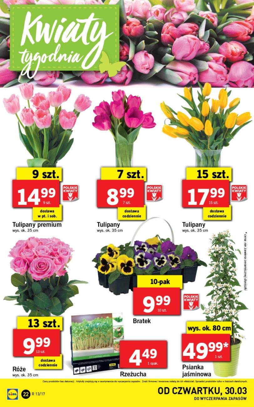 Gazetka promocyjna Lidl do 02/04/2017 str.22