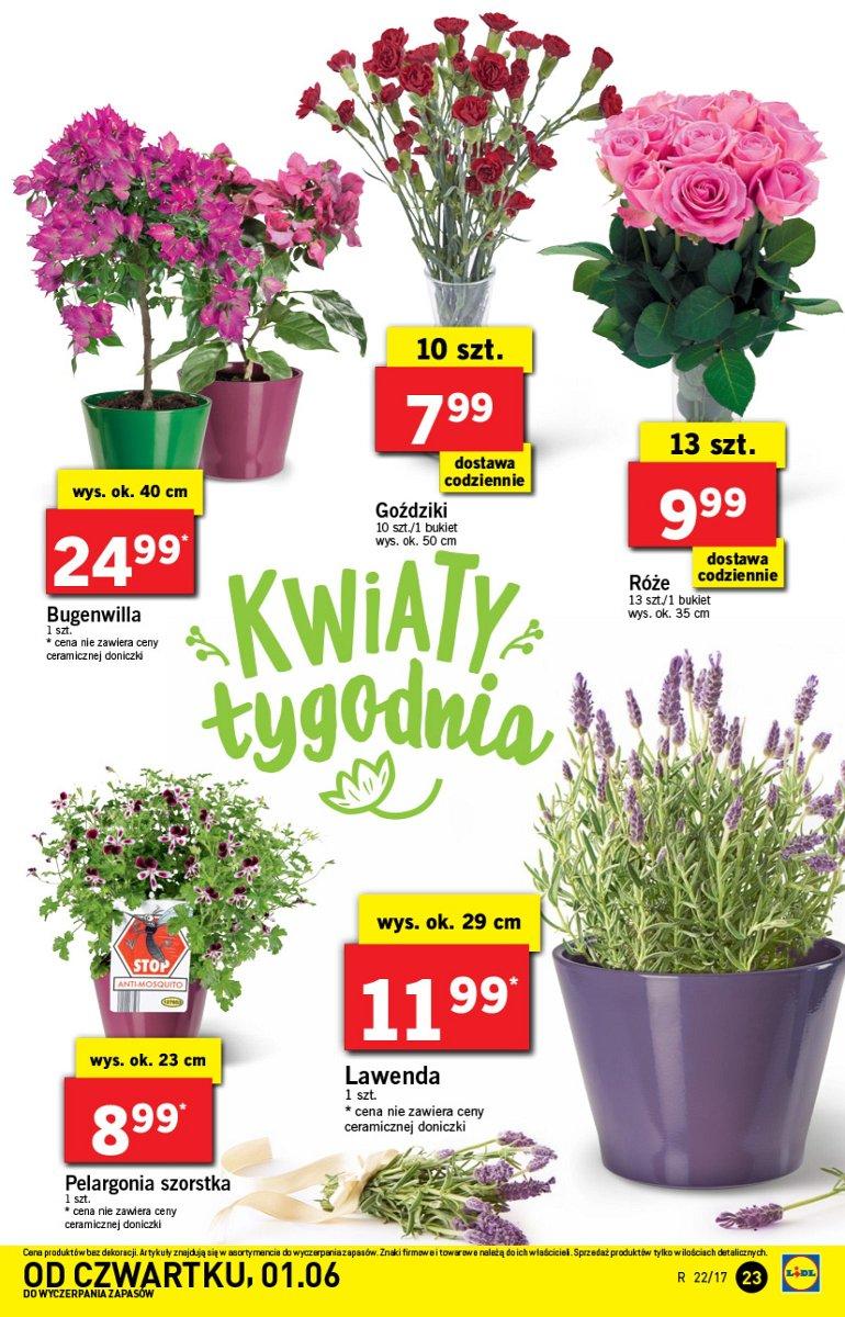 Gazetka promocyjna Lidl do 03/06/2017 str.23