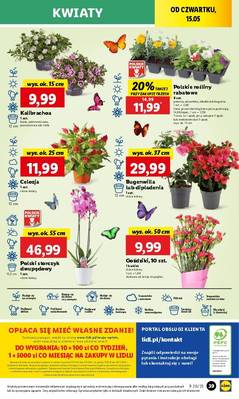 Lidl od czwartku