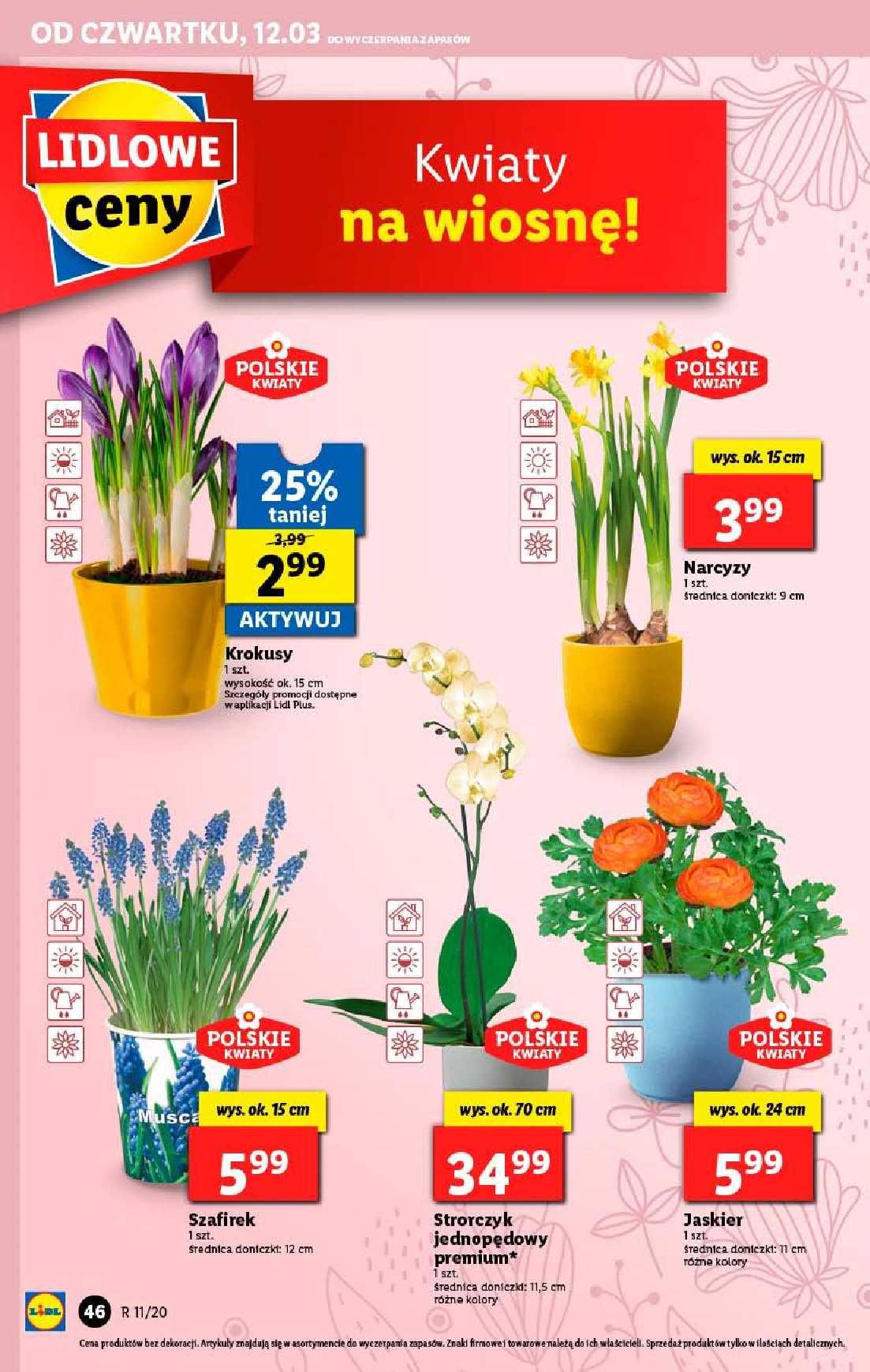 Gazetka promocyjna Lidl do 14/03/2020 str.46