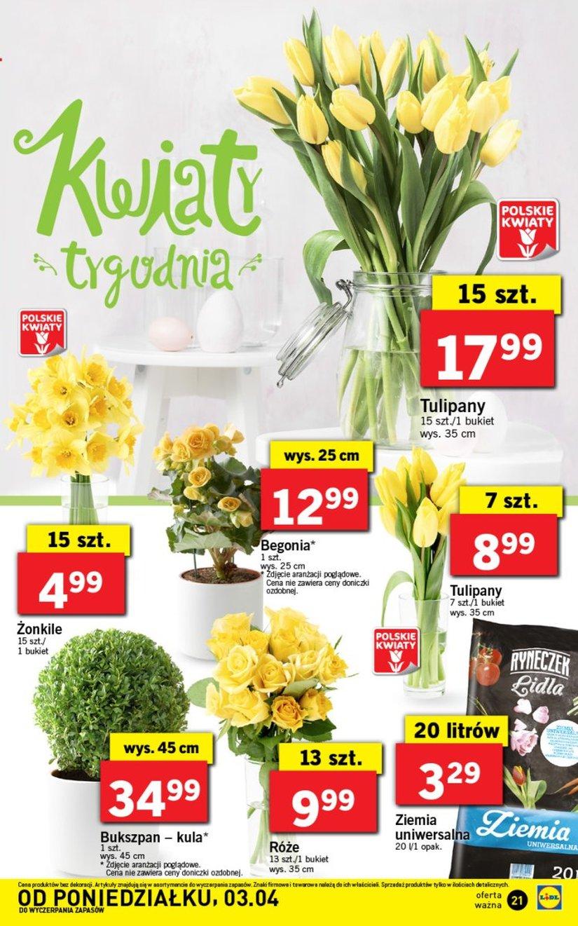 Gazetka promocyjna Lidl do 05/04/2017 str.21