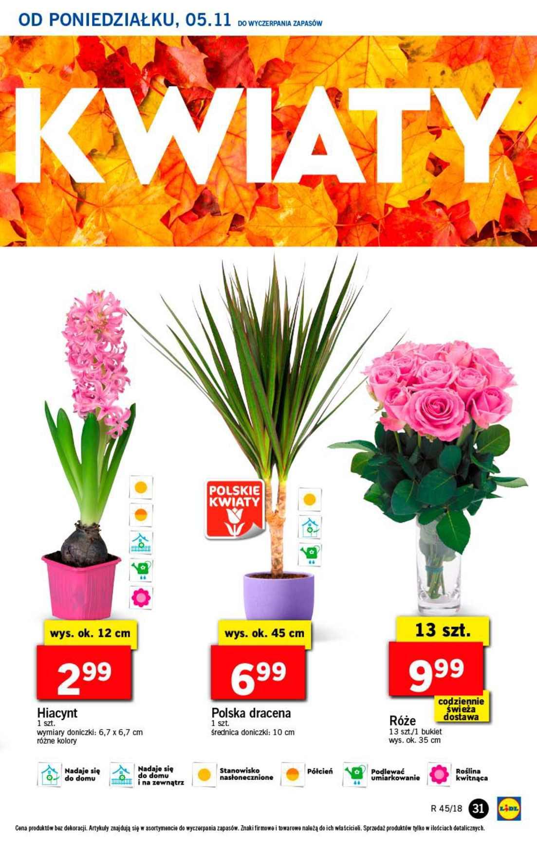 Gazetka promocyjna Lidl do 07/11/2018 str.31