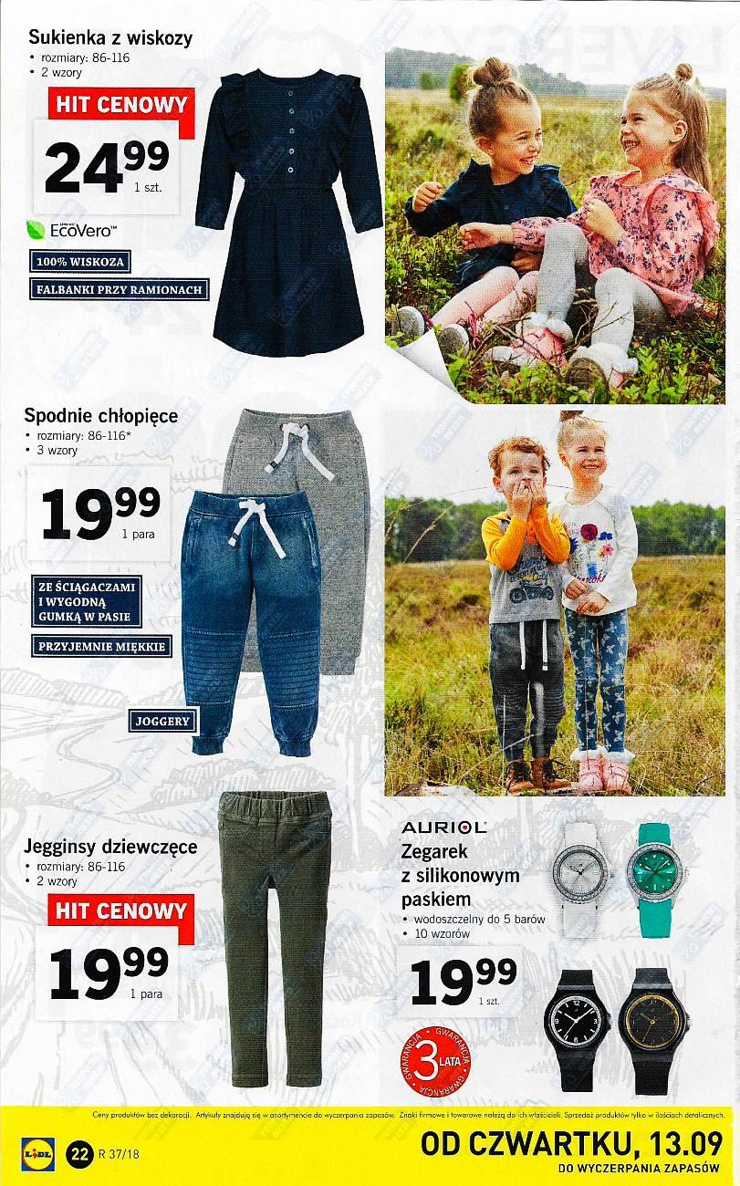 Gazetka promocyjna Lidl do 15/09/2018 str.22