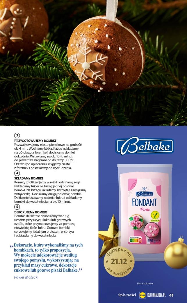 Gazetka promocyjna Lidl do 24/12/2023 str.41