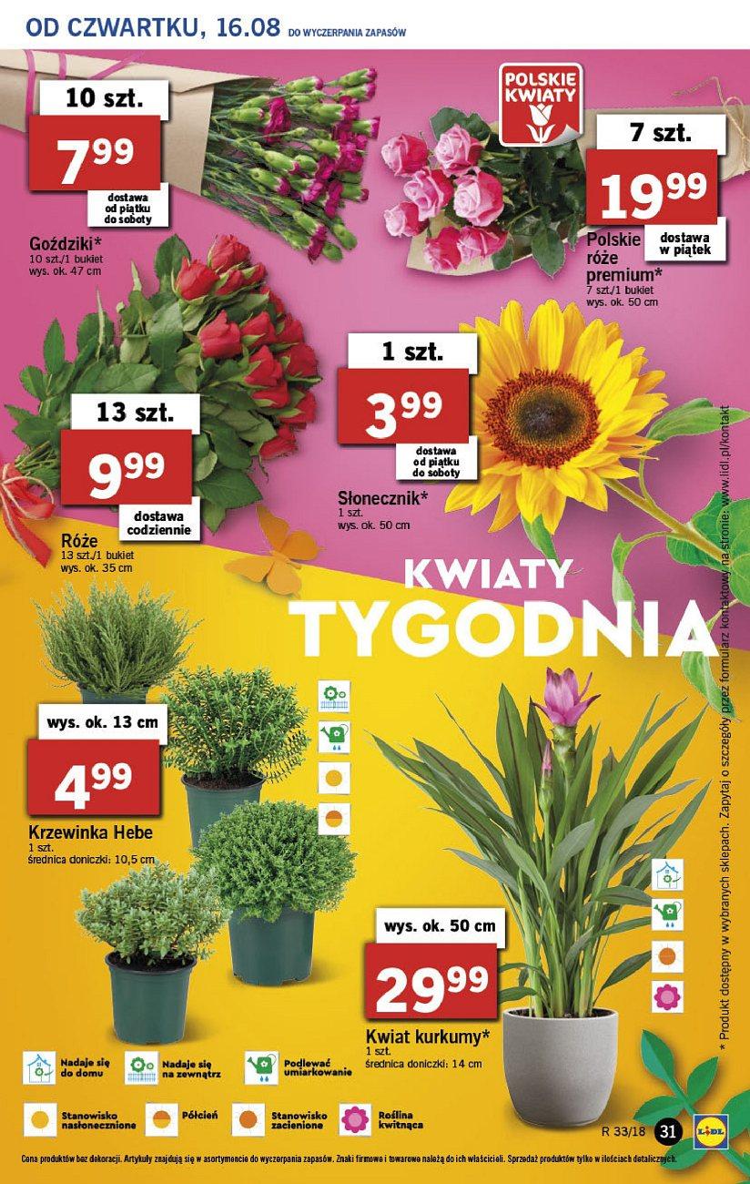 Gazetka promocyjna Lidl do 18/08/2018 str.31