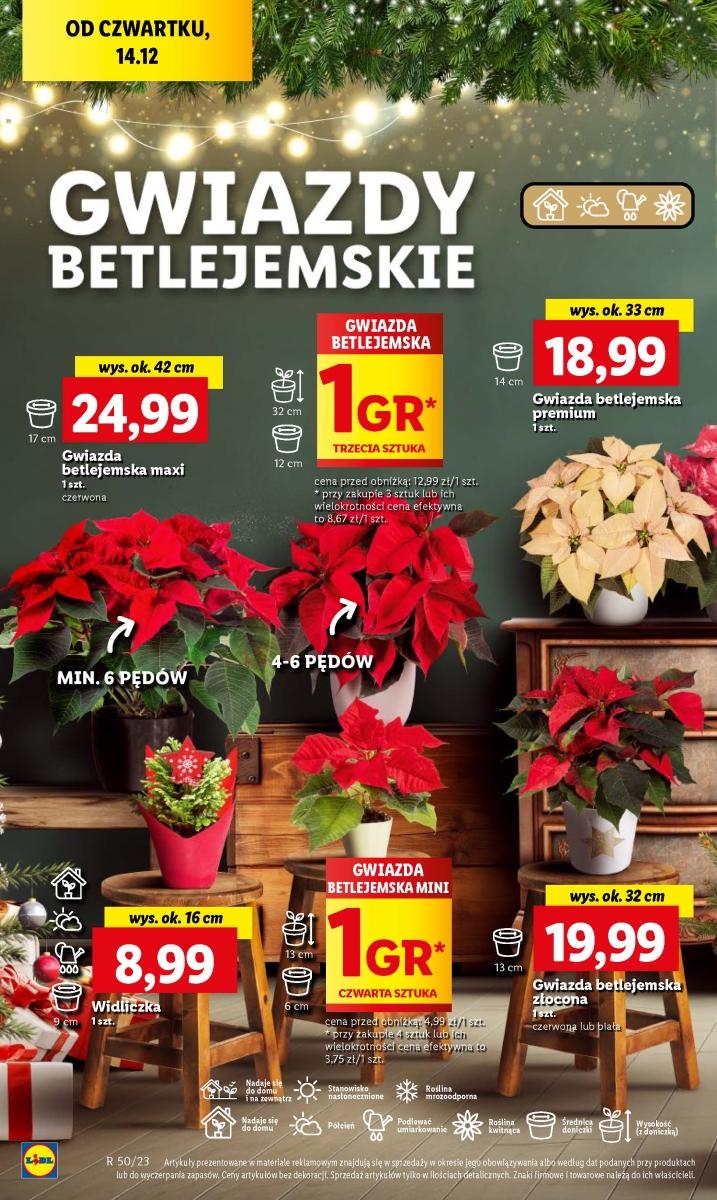 Gazetka promocyjna Lidl do 17/12/2023 str.64