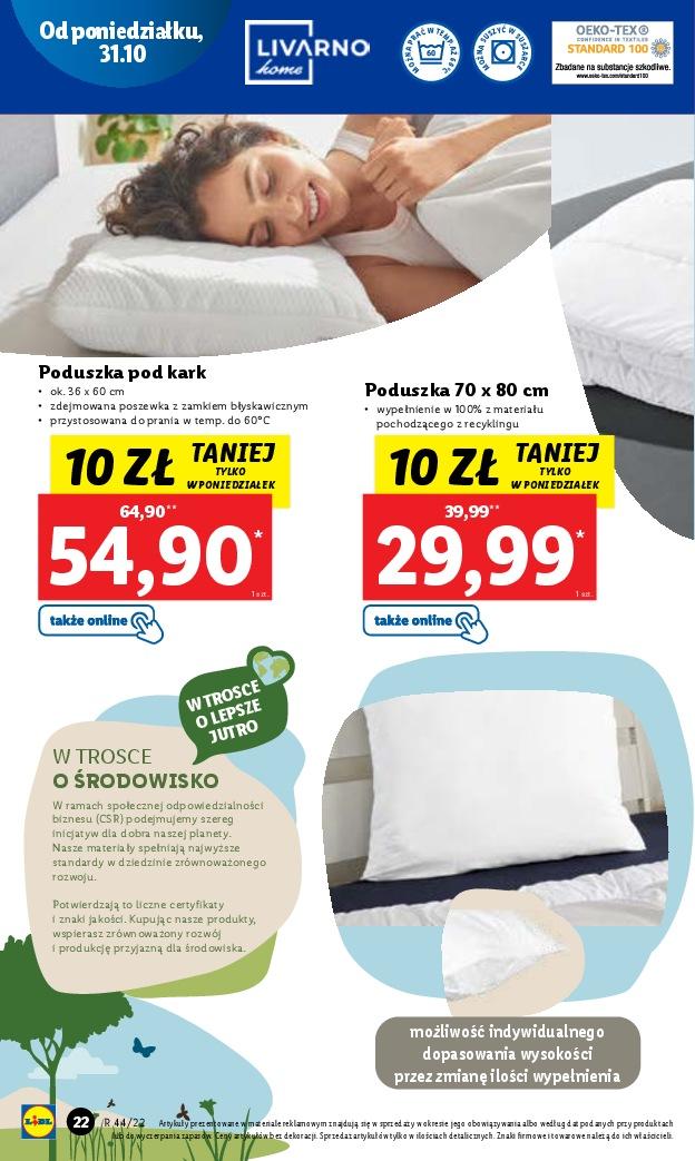 Gazetka promocyjna Lidl do 05/11/2022 str.22