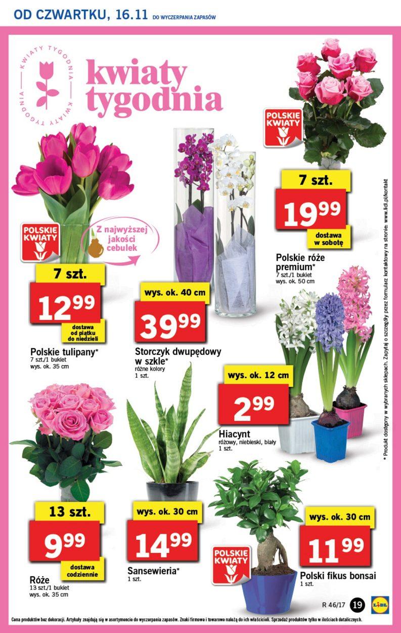 Gazetka promocyjna Lidl do 19/11/2017 str.19