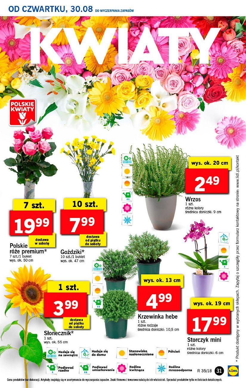 Gazetka promocyjna Lidl do 02/09/2018 str.31