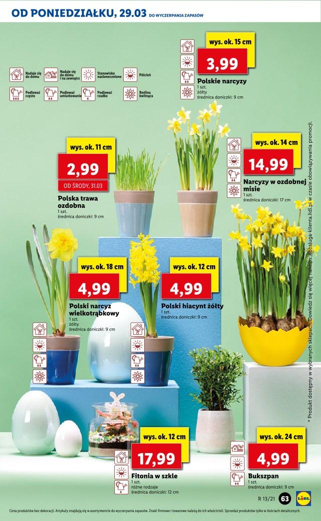 Gazetka promocyjna Lidl do 31/03/2021 str.63