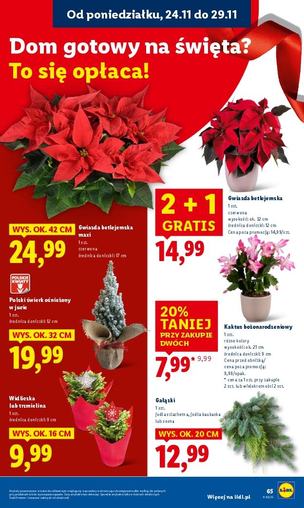 Gazetka promocyjna Lidl do 26/11/2025 str.65