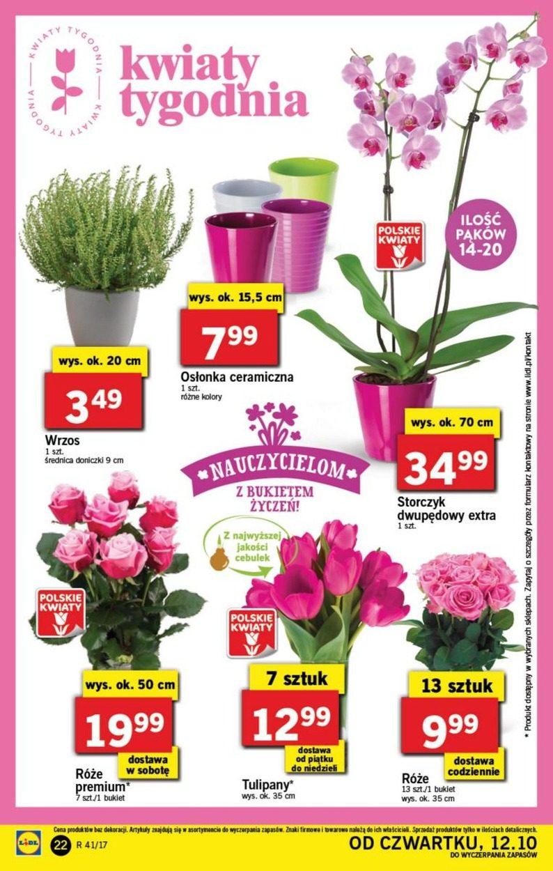 Gazetka promocyjna Lidl do 15/10/2017 str.22