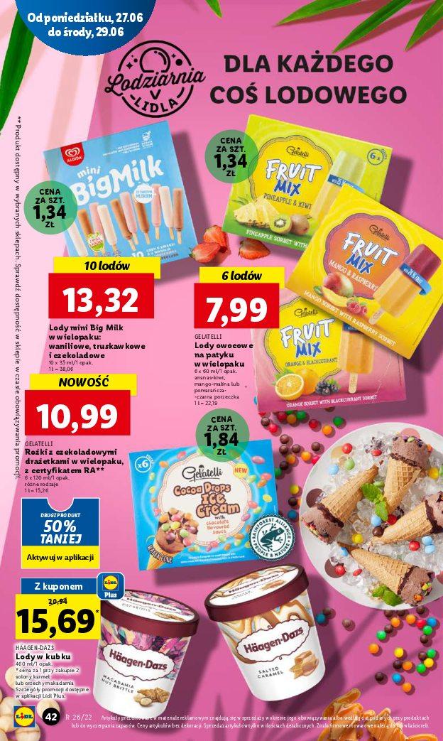 Gazetka promocyjna Lidl do 29/06/2022 str.42