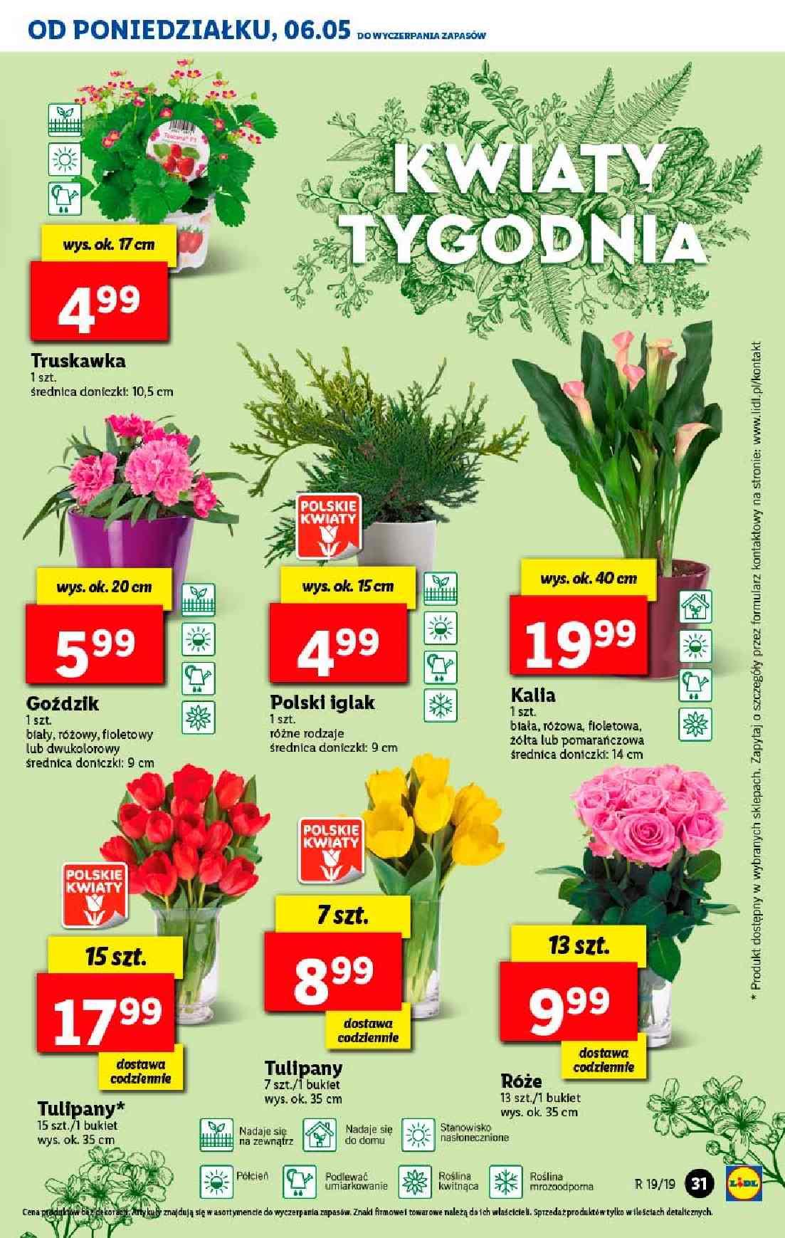 Gazetka promocyjna Lidl do 08/05/2019 str.31