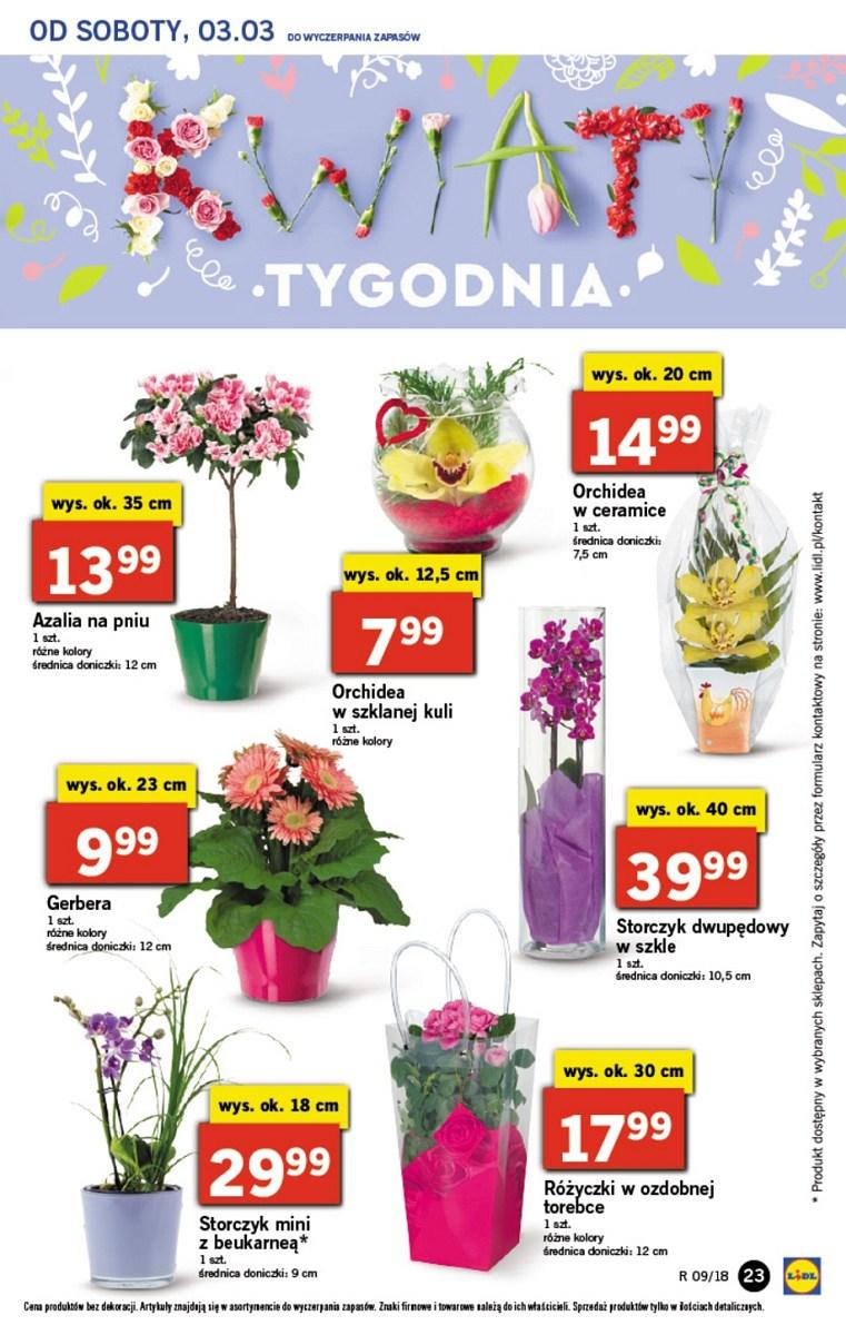 Gazetka promocyjna Lidl do 04/03/2018 str.23