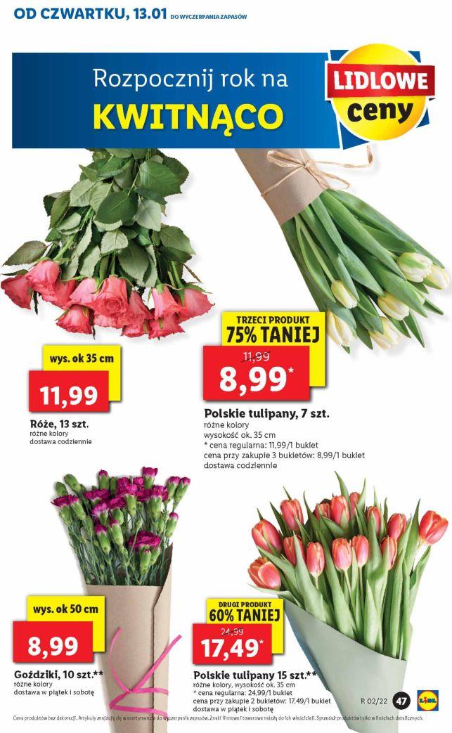 Gazetka promocyjna Lidl do 15/01/2022 str.47