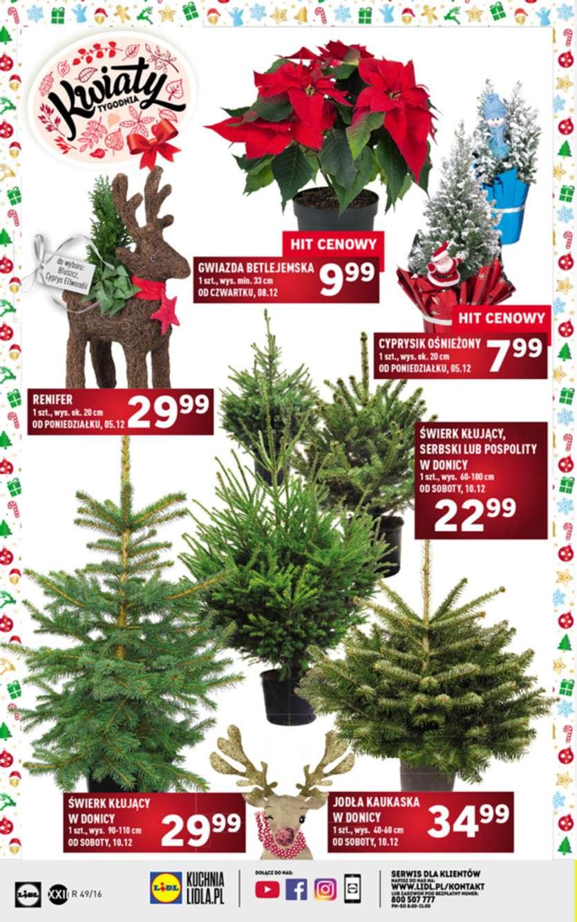 Gazetka promocyjna Lidl do 11/12/2016 str.44