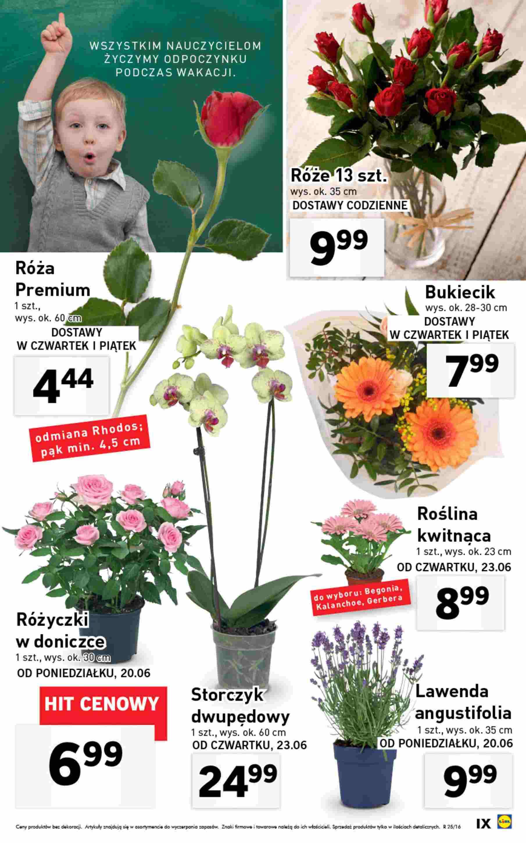 Gazetka promocyjna Lidl do 26/06/2016 str.33